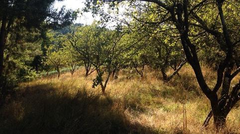 Foto 5 de Casa o xalet en venda a Chantada, Lugo