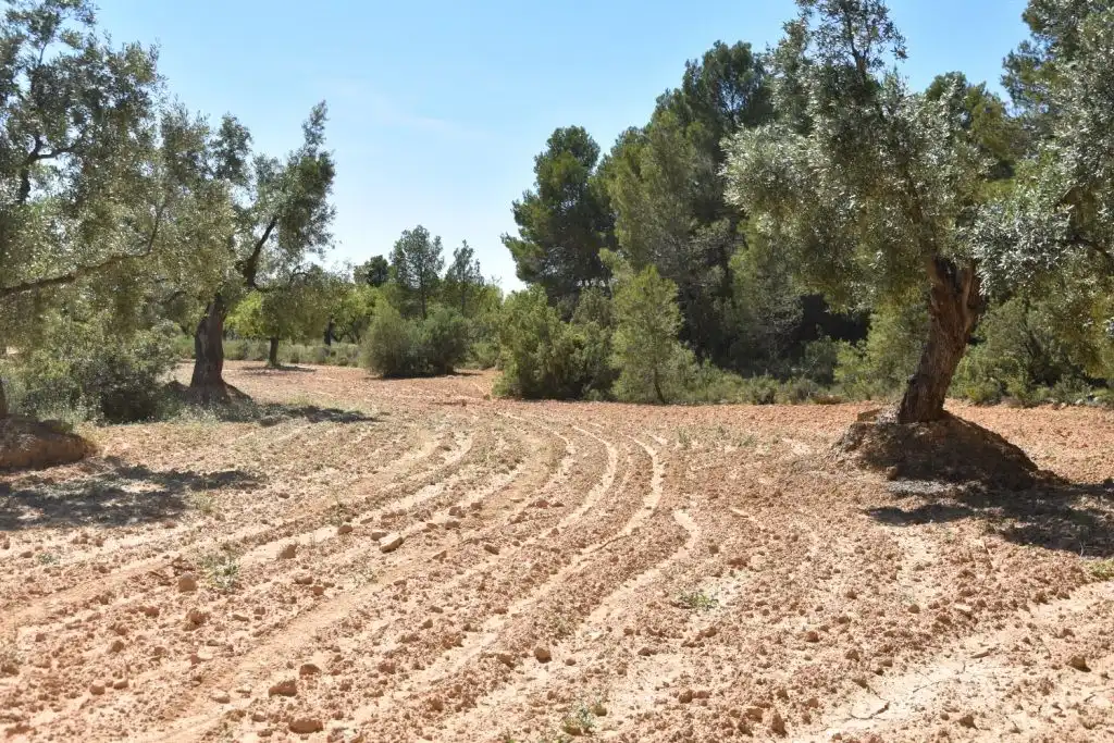 Casa rústica en venda a Torre del Compte, imagen 7