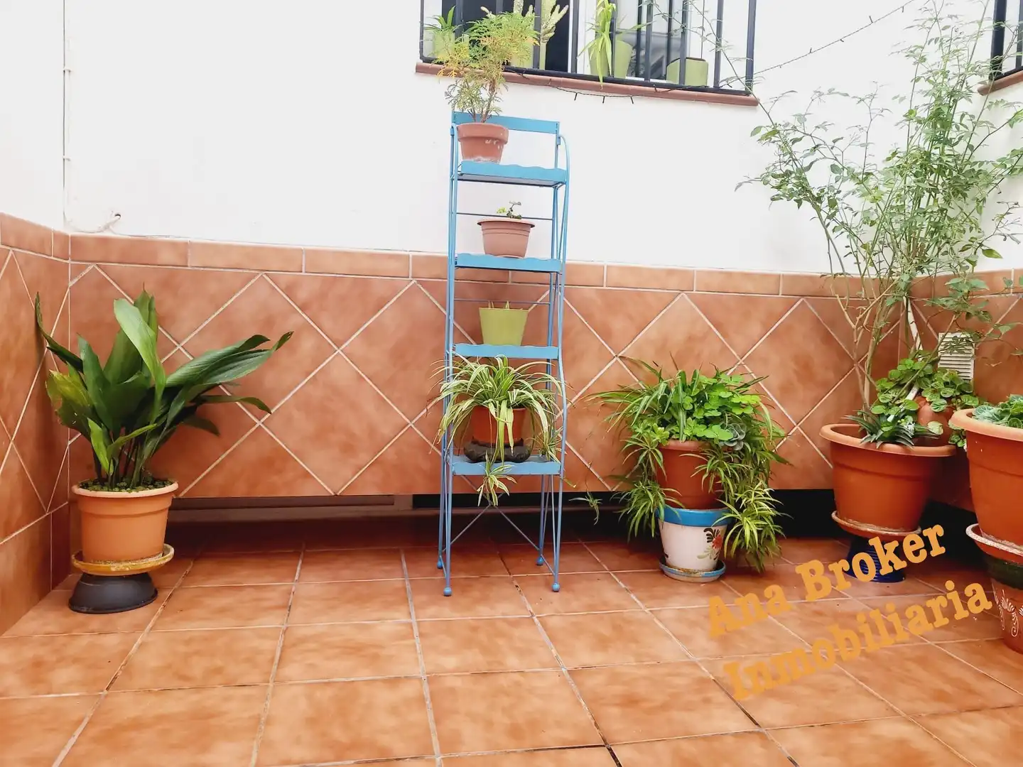 Casa o xalet en venda a San Cristóbal