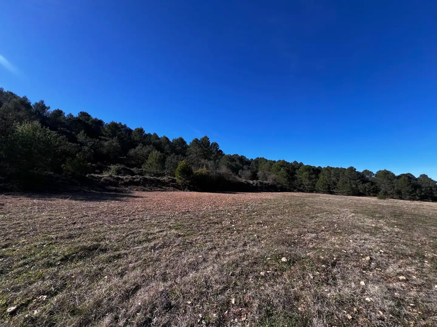 Finca rústica en venta en Bocairent con Jardín privado, Terraza y Trastero