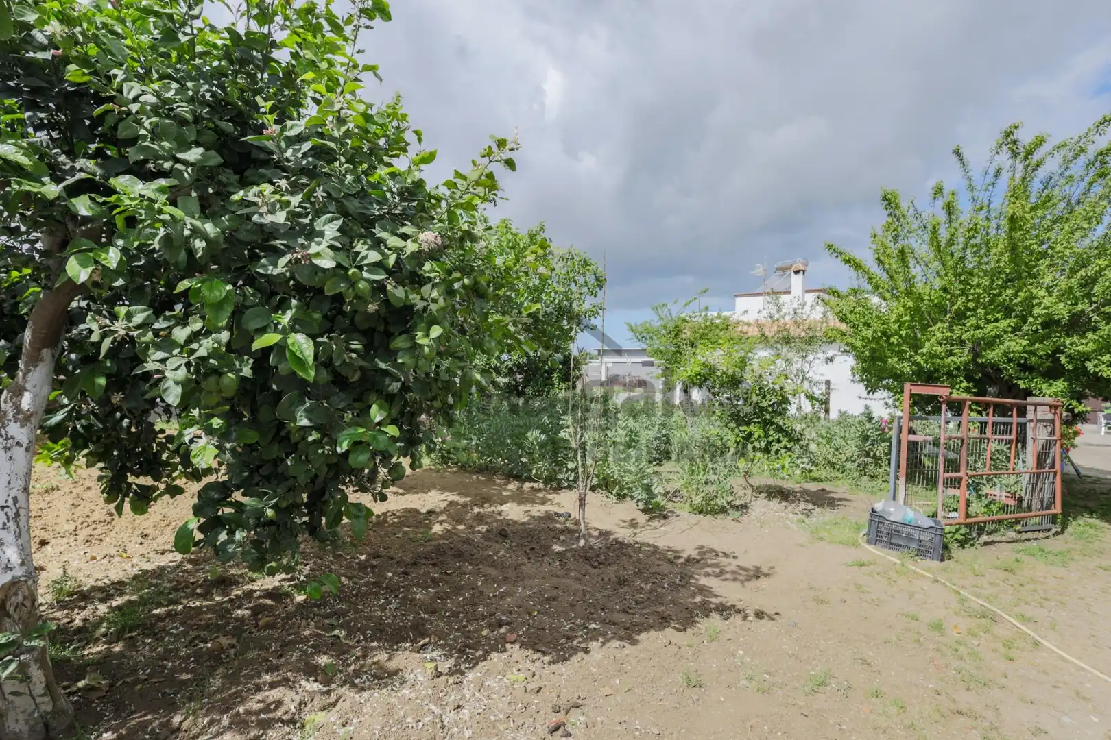 Country homes for sale in Sanlúcar de Barrameda  with Private garden and Storage room
