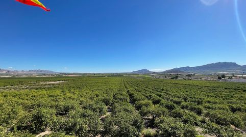 Foto 4 de Terreny en venda a Fortuna, Murcia