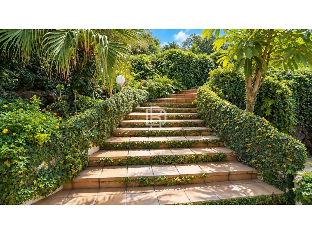 Jardí de Casa o xalet en venda en Santa Catalina