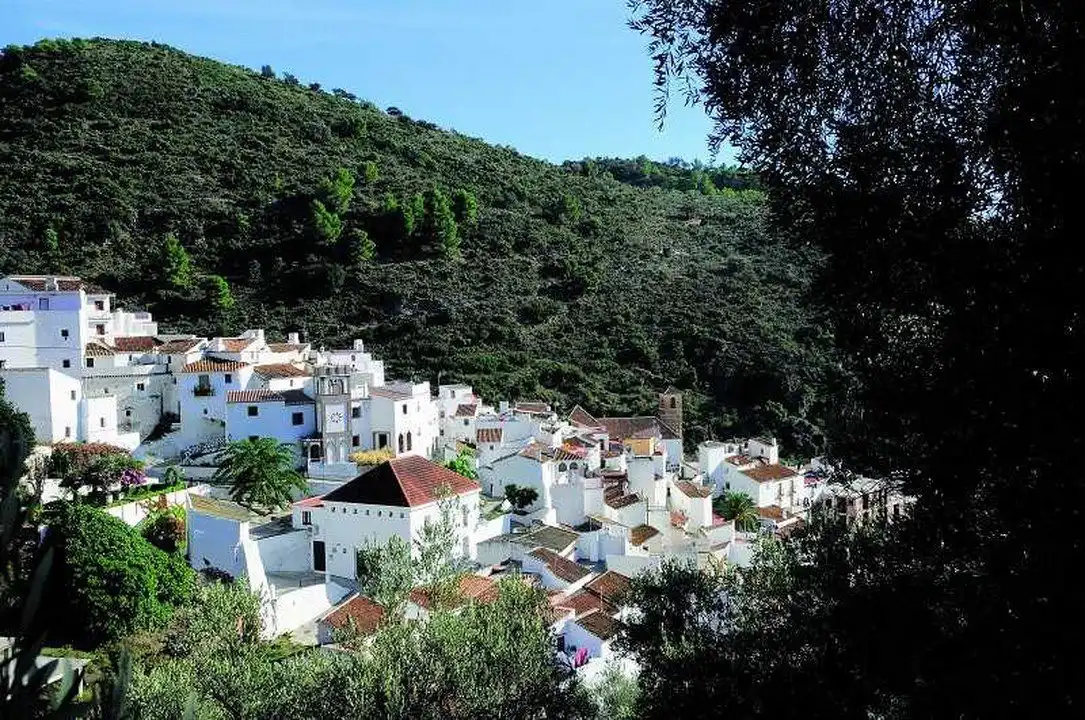 Exterior view of Houses for sale in Salares  with Terrace and Jacuzzi