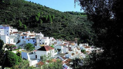 Photo 2 of House or chalet for sale in Salares, Málaga