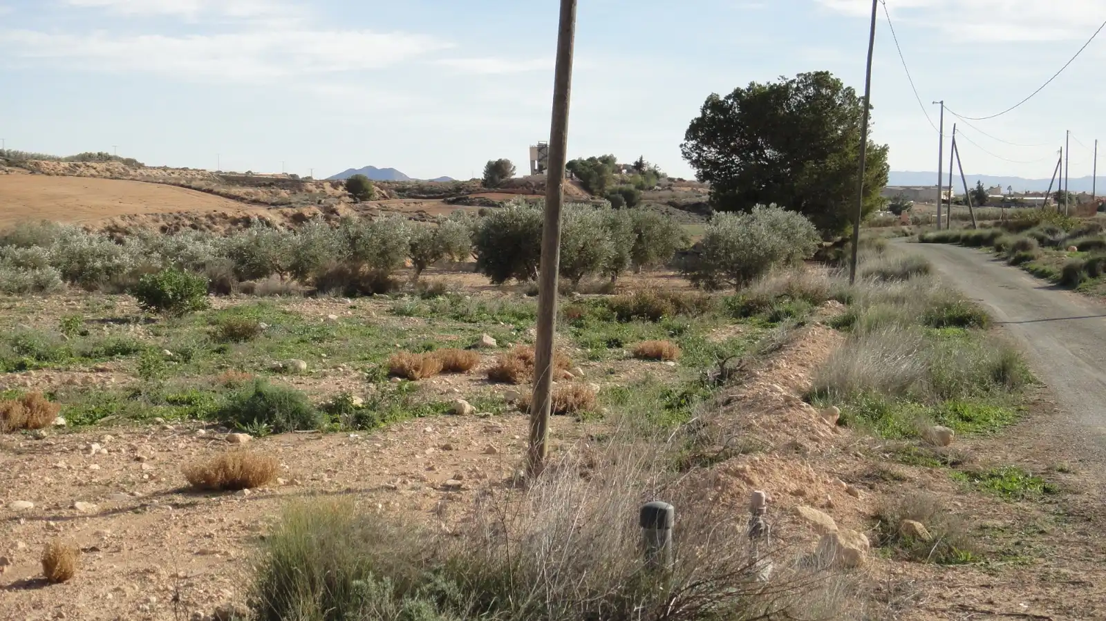 Terreno rustico in vendita a Campo de Murcia, imagen 9