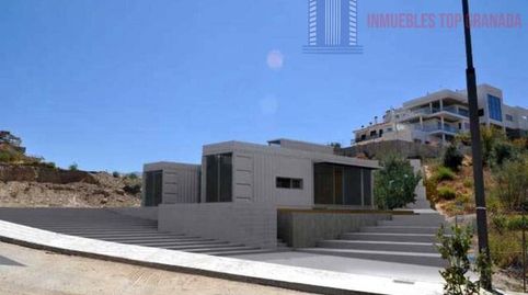 PadulTerreno, immagine 3