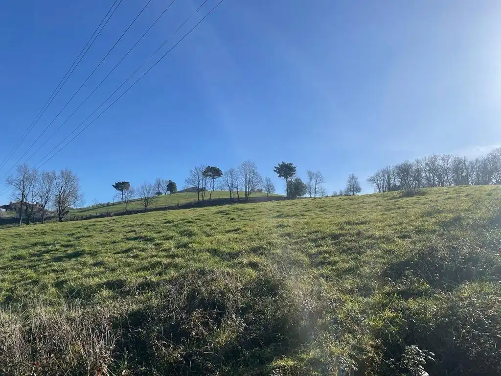 Land for sale in Balmaseda
