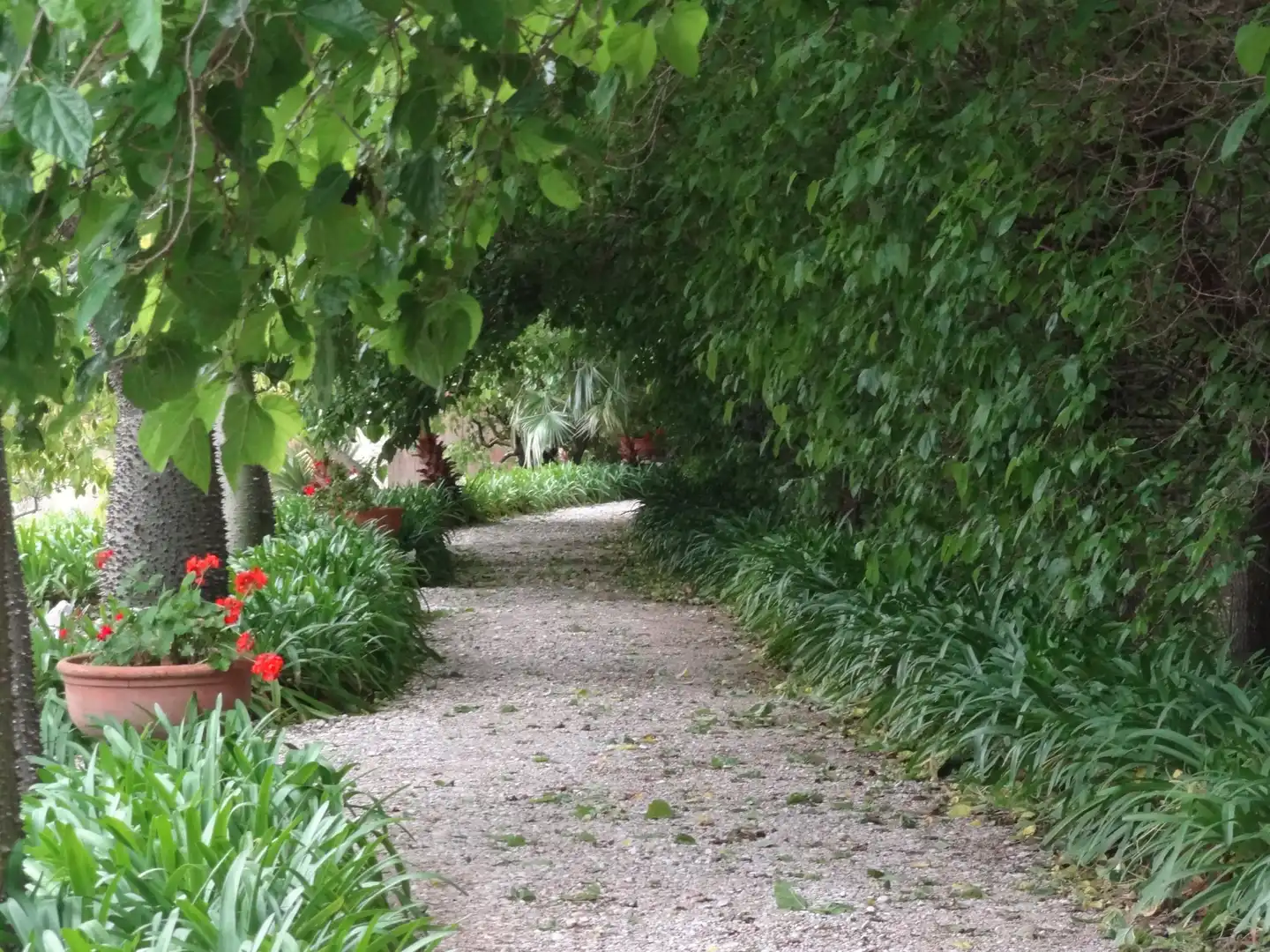 Jardí de Casa o xalet en venda en Beniarbeig