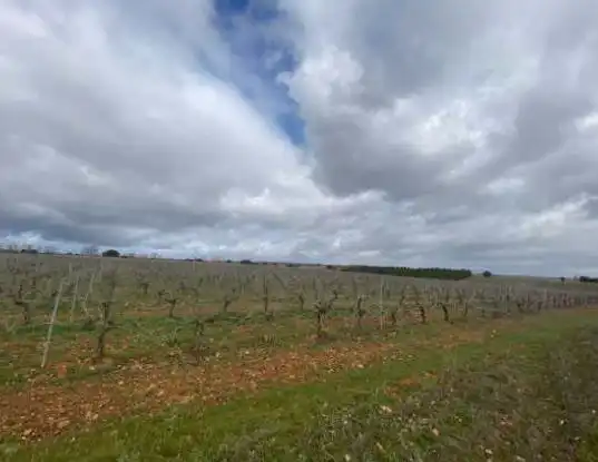 Terreni e lotti in vendita a Chozas de Abajo