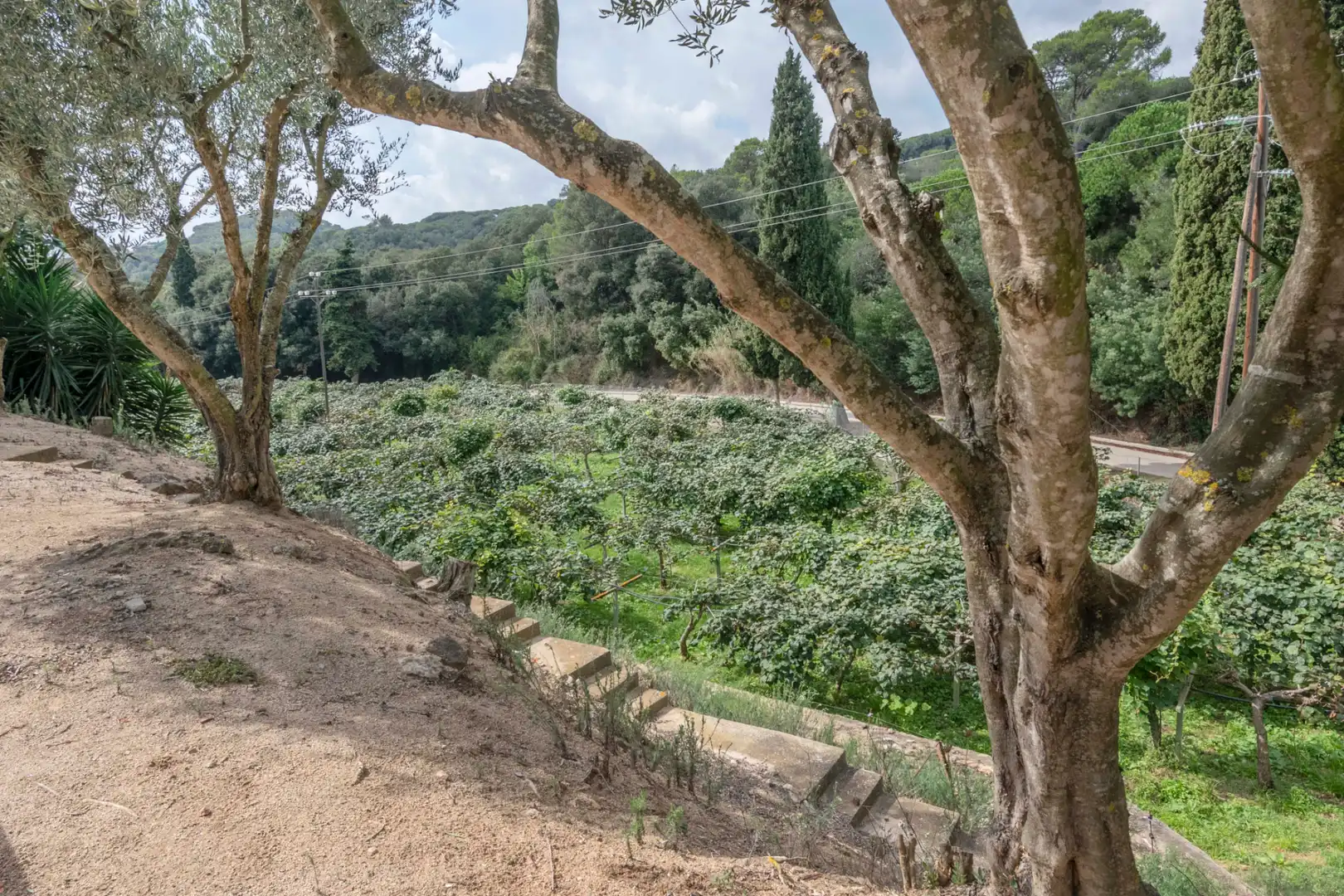 Casa rústica con piscina en venta en Camí Can Cabot de Munt, imagen 4
