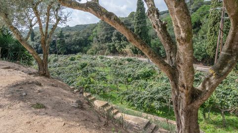 Foto 4 de Finca rústica en venta en Camí Can Cabot de Munt, El Mirador - La Cornisa, Sant Andreu de Llavaneres