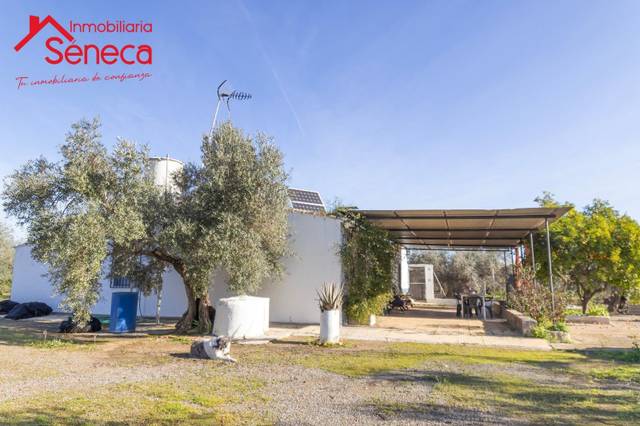 Casa-chalet en Venta en ADAMUZ - ALGALLARIN en Adamuz