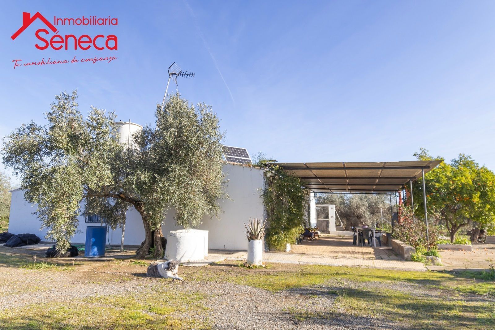 Casa o xalet en venda a Adamuz