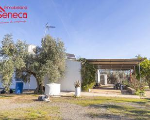 Jardí de Casa o xalet en venda en Adamuz amb Aire condicionat i Piscina