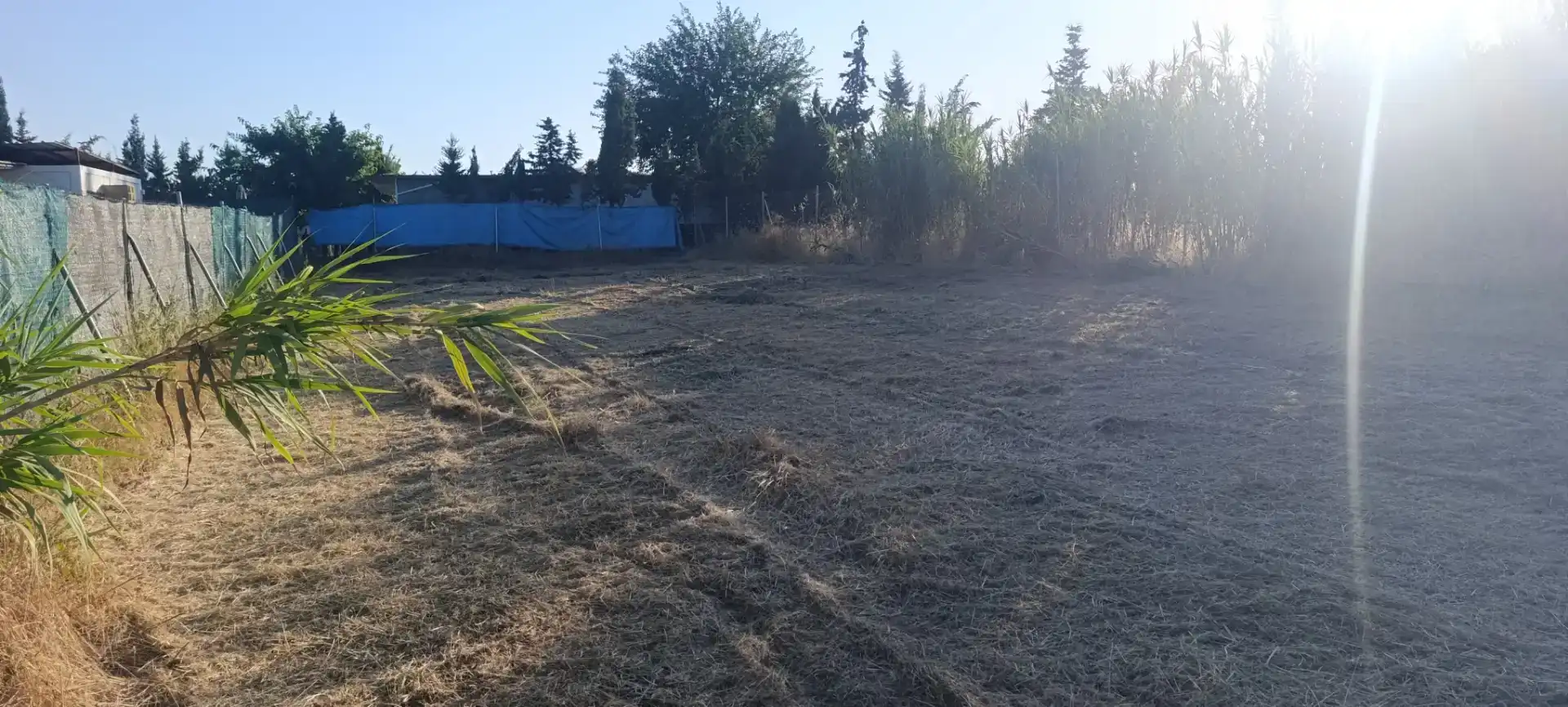 Finca rústica en venda en Arahal