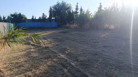 Foto 2 de Finca rústica en venda a Urbanización Valleverde, 1, Arahal, Sevilla