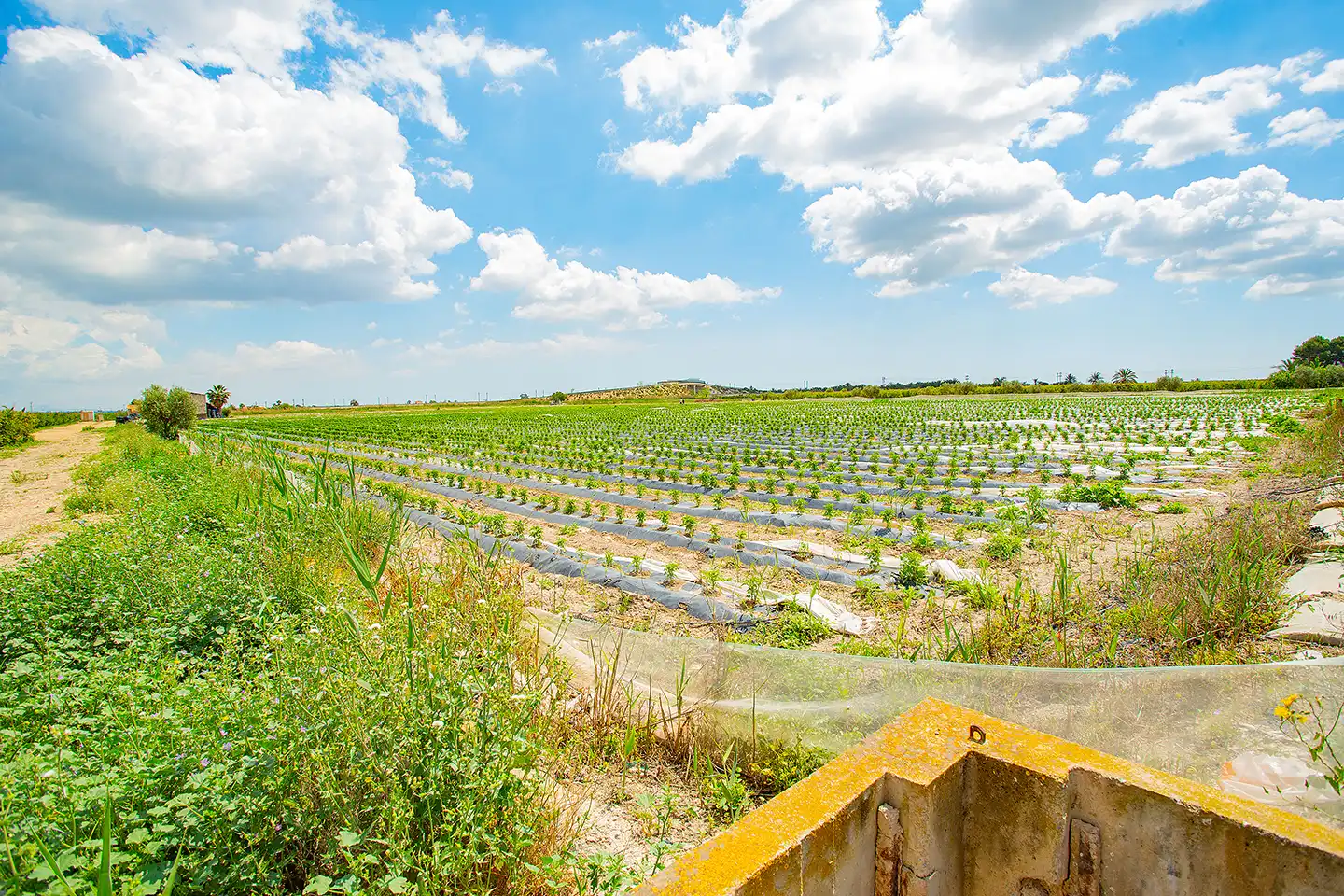 Finca rústica en venda en San Isidro
