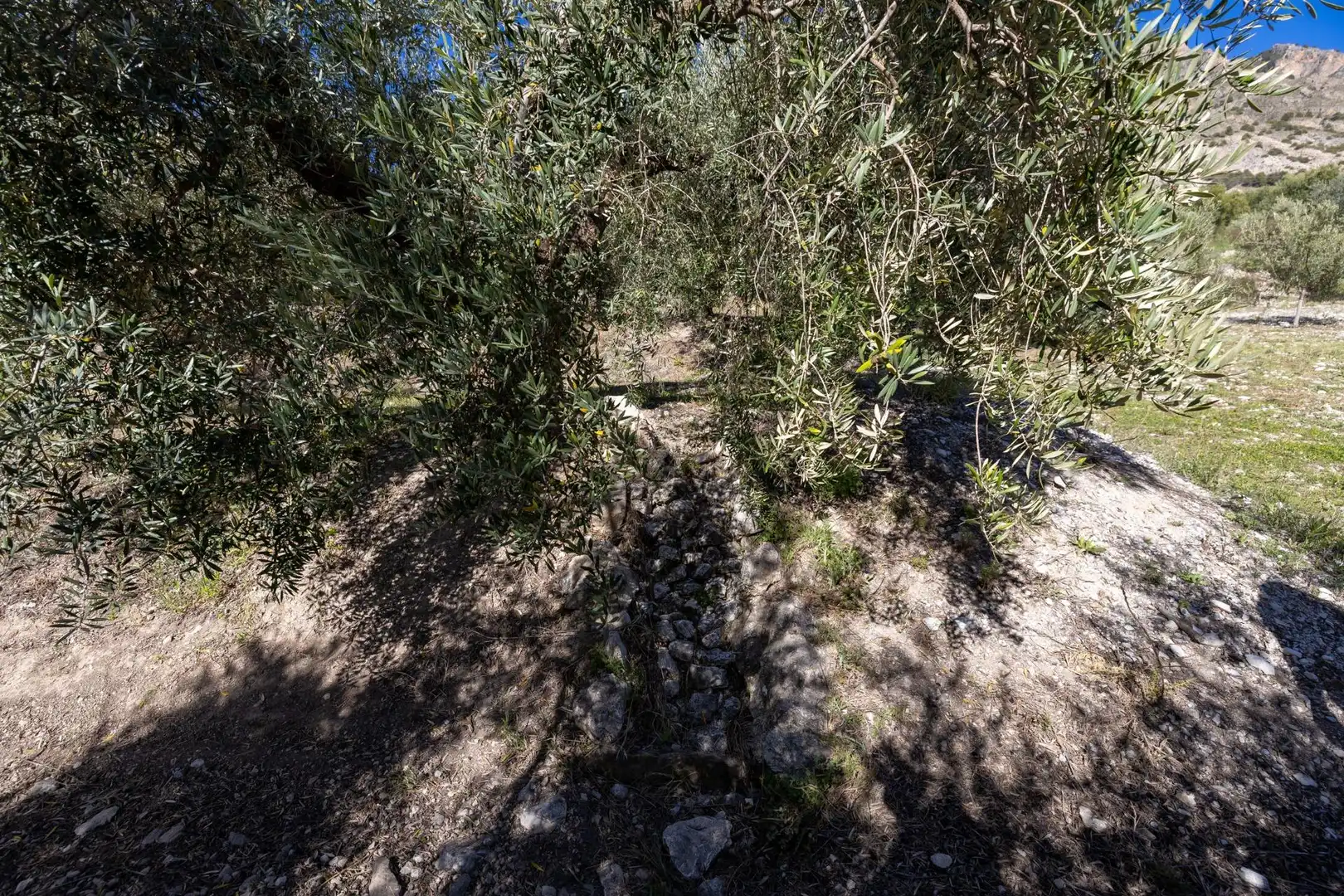 Terreni e lotti in vendita a Dúrcal, imagen 20