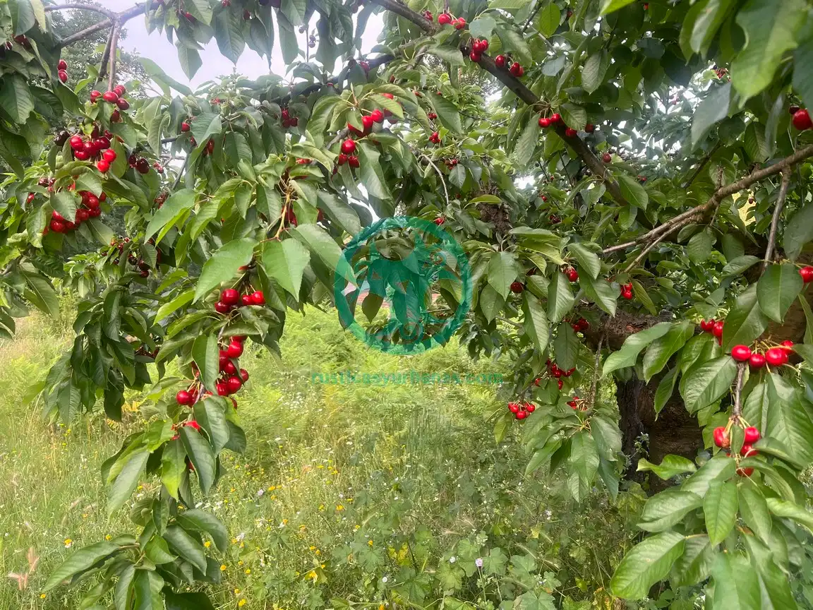 Terreni e lotti in vendita a Garganta la Olla