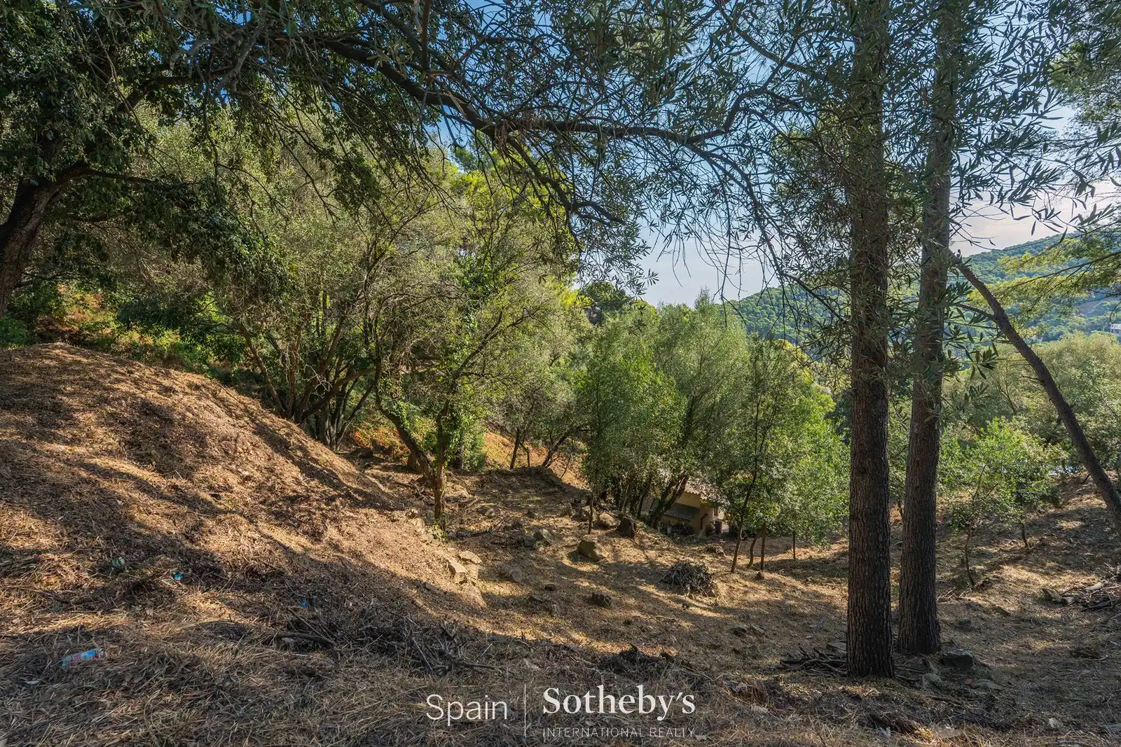 Residential land for sale in Carretera de la Platja del Racó, imagen 11