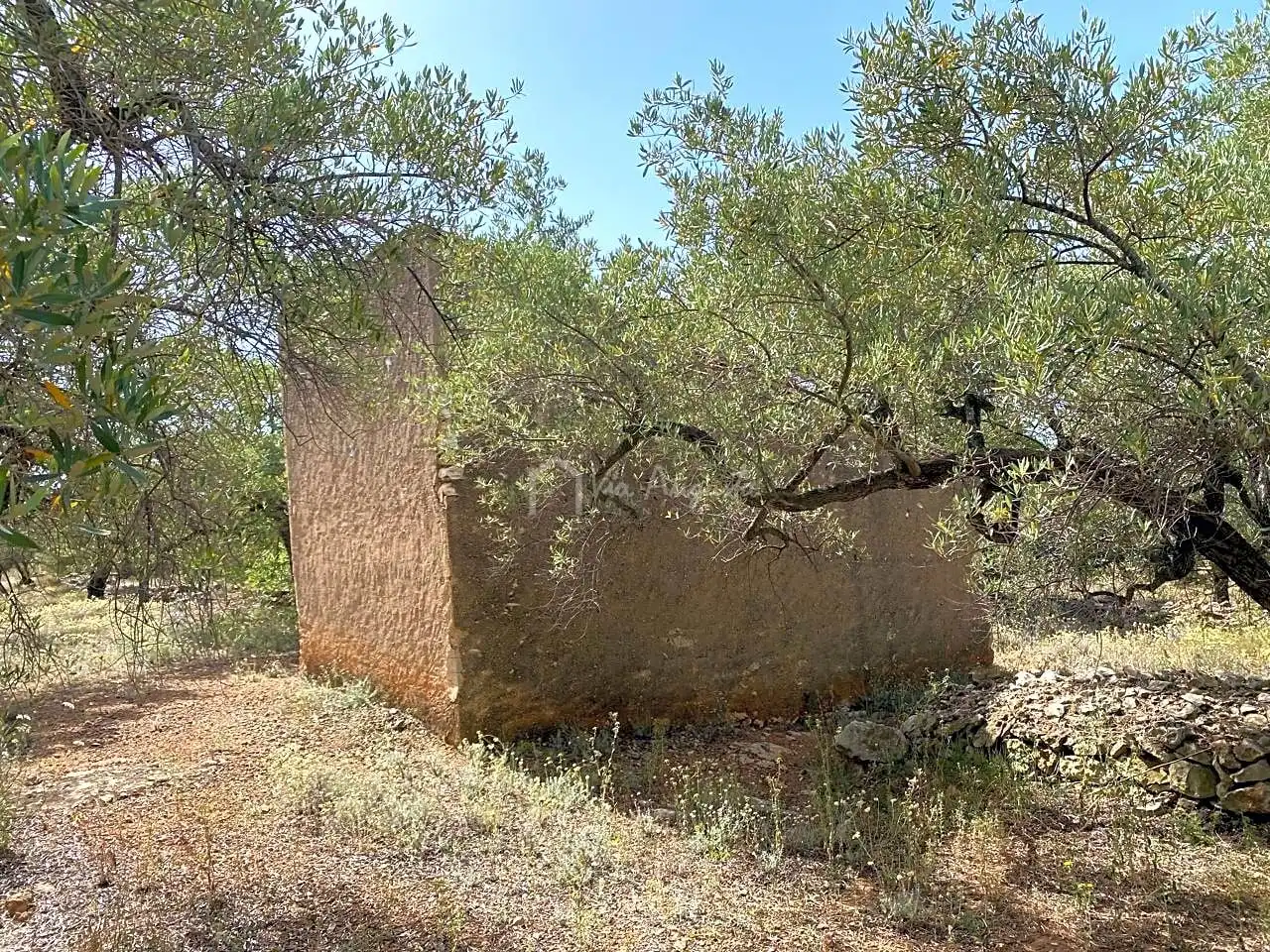 Terreno rustico in vendita a Partida Comartins, imagen 3