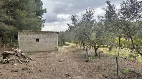 Terreno Rústico en venta en Segorbe., immagine 5