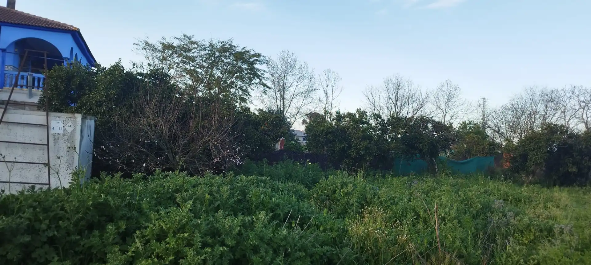 Finca rústica en venda en Aznalcázar
