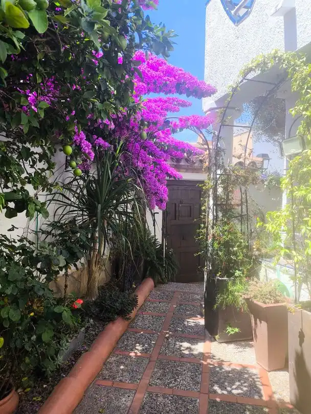 Garden of Houses for sale in Empuriabrava  with Air Conditioner and Heating
