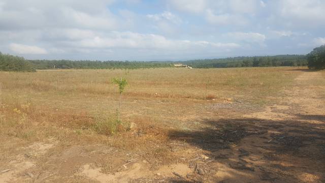 Terreno en Venta en Mogente / Moixent