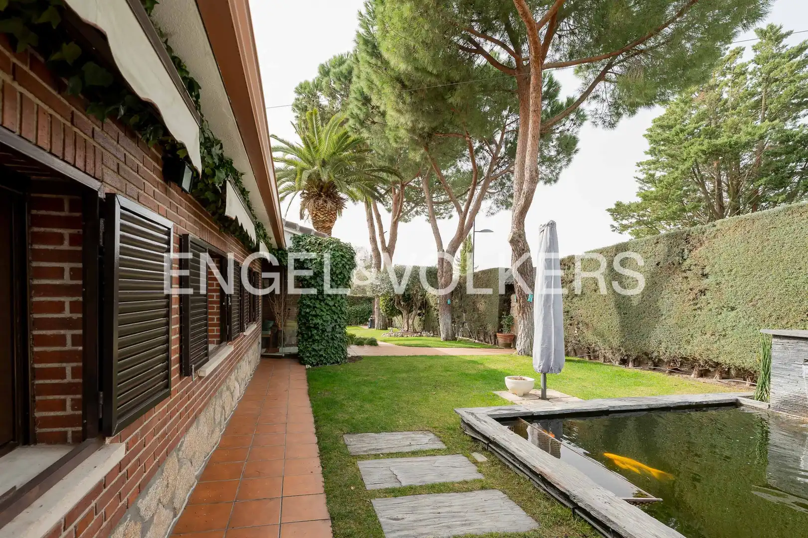 House with pool for sale in El Olivar de Mirabal, imagen 47