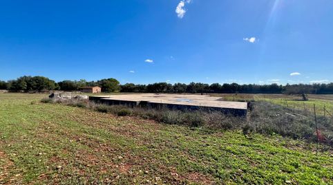 Amplio Solar en Campos con Proyecto y Fundamentos Realizados, imatge 3