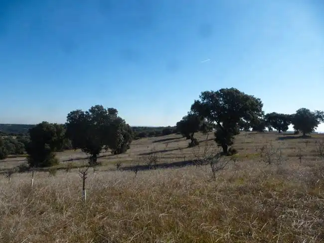 Rural land for sale in Paredes de Escalona, imagen 4