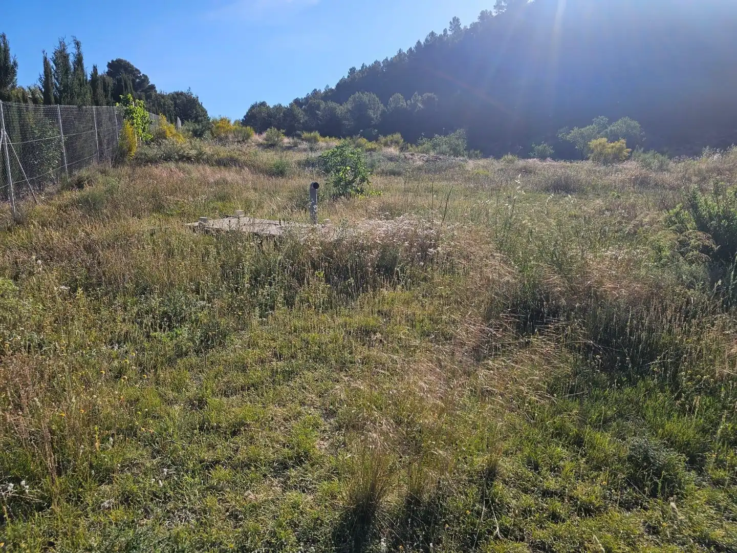 Finca rústica en venta en Vélez-Rubio con Terraza y Amueblado