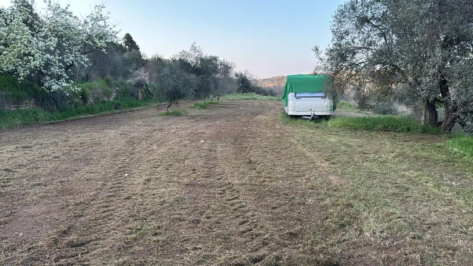 Terreny rústic en venda a La Fresneda, imagen 6