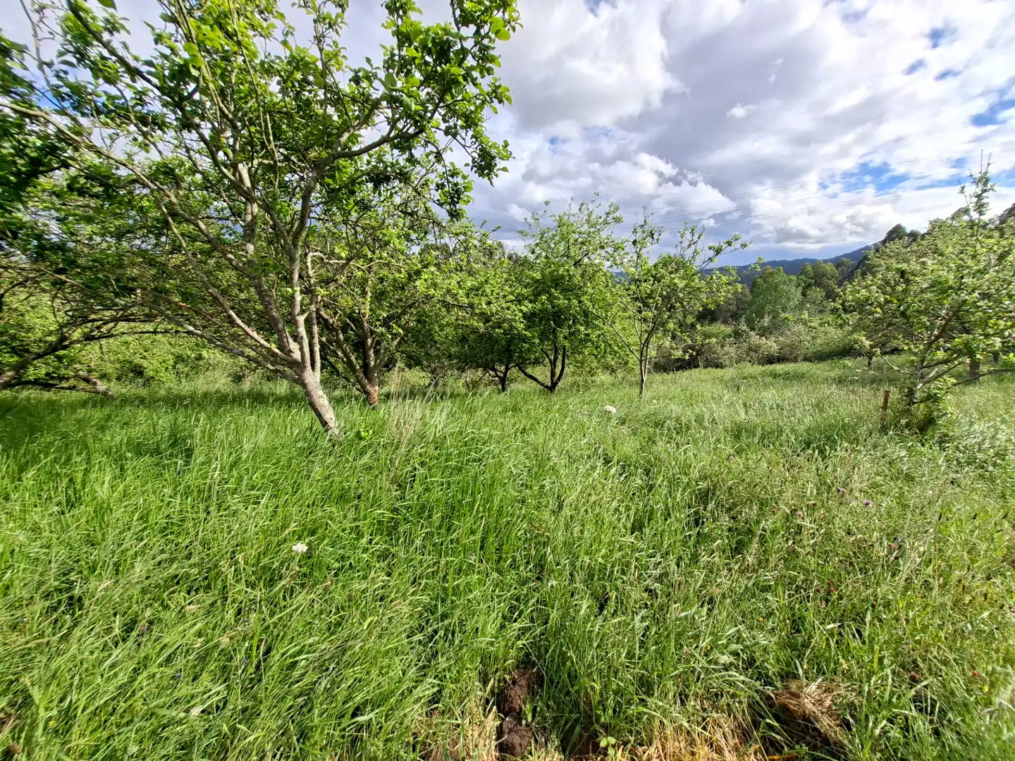 Residential land for sale in Corvera de Asturias, imagen 5