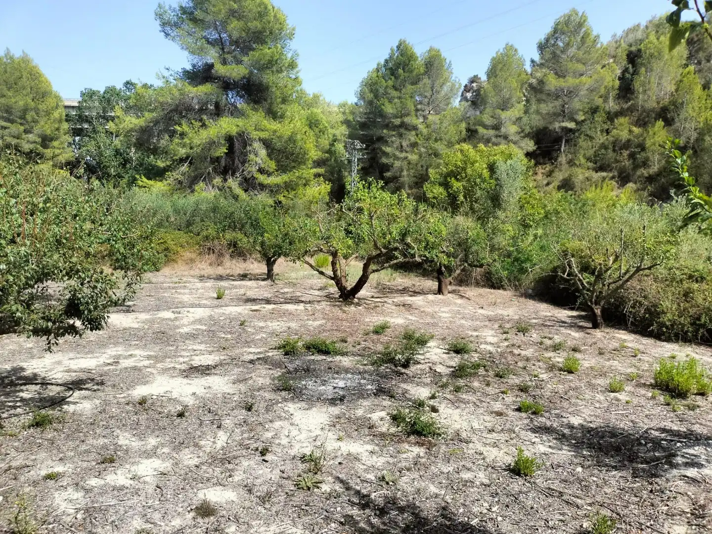 Local en venta en L'Alcúdia de Crespins