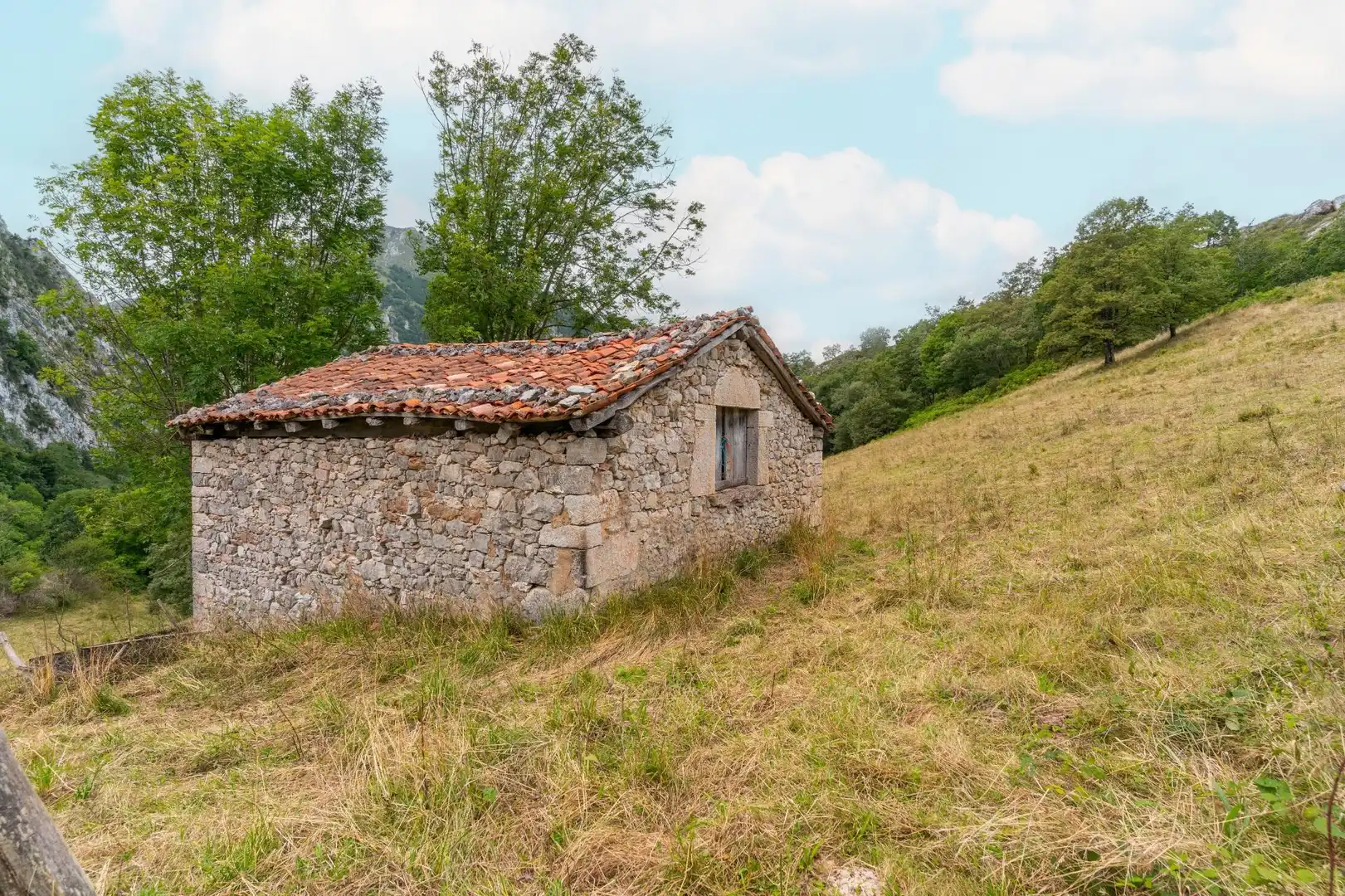 Houses for sale in Amieva