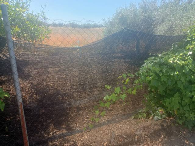 Terreno en Venta en Carretera Palma del Río en Poniente-Norte - Miralbaida - Parque Azahara