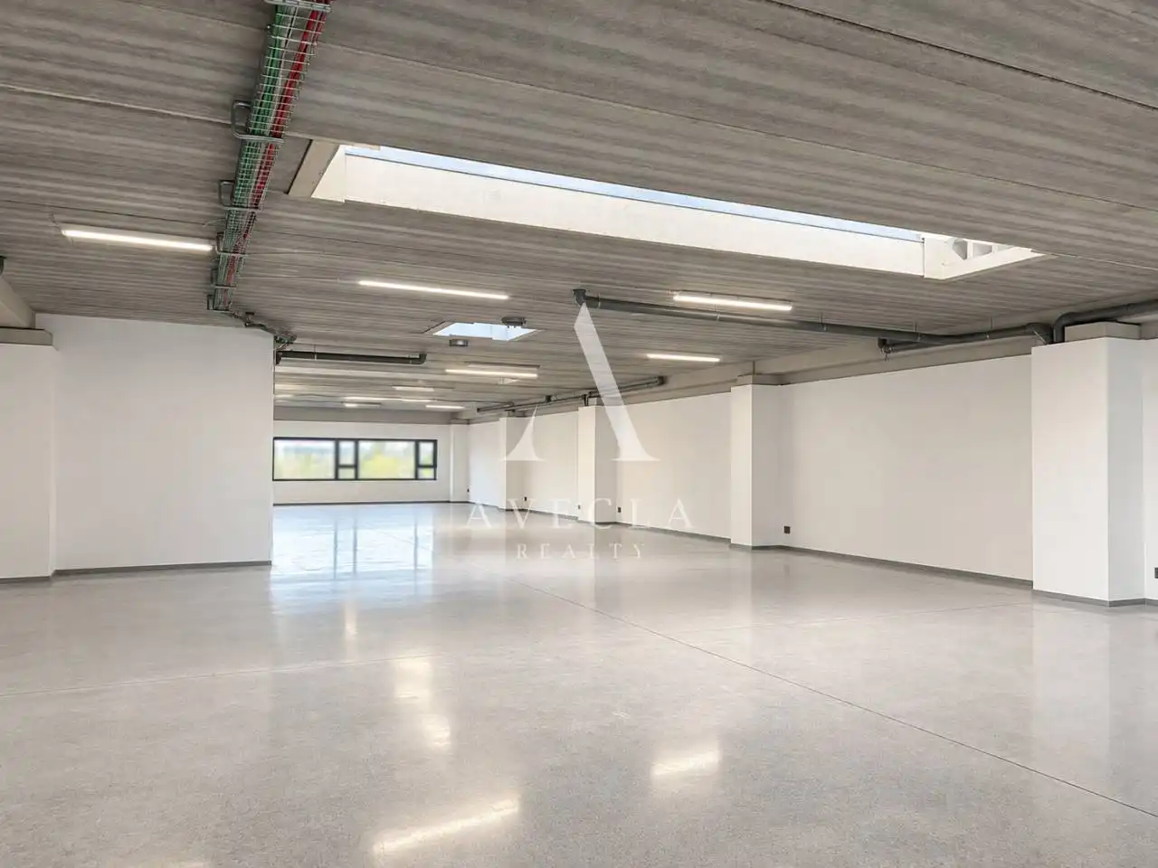 Nave industrial con ascensore in affitto a Calle Pintor Isidre Nonell 120, imagen 16