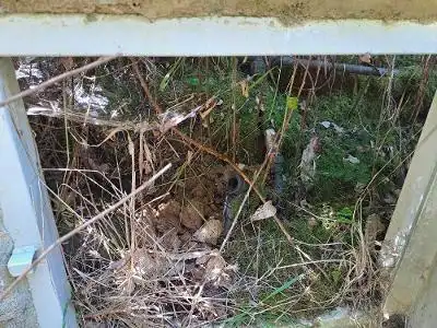 Terreny rústic en venda a CASTAÑEDO, imagen 9