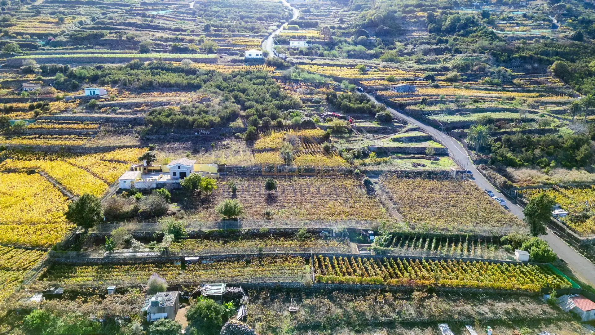 Finca rústica en venda en Santa Úrsula amb Terrassa