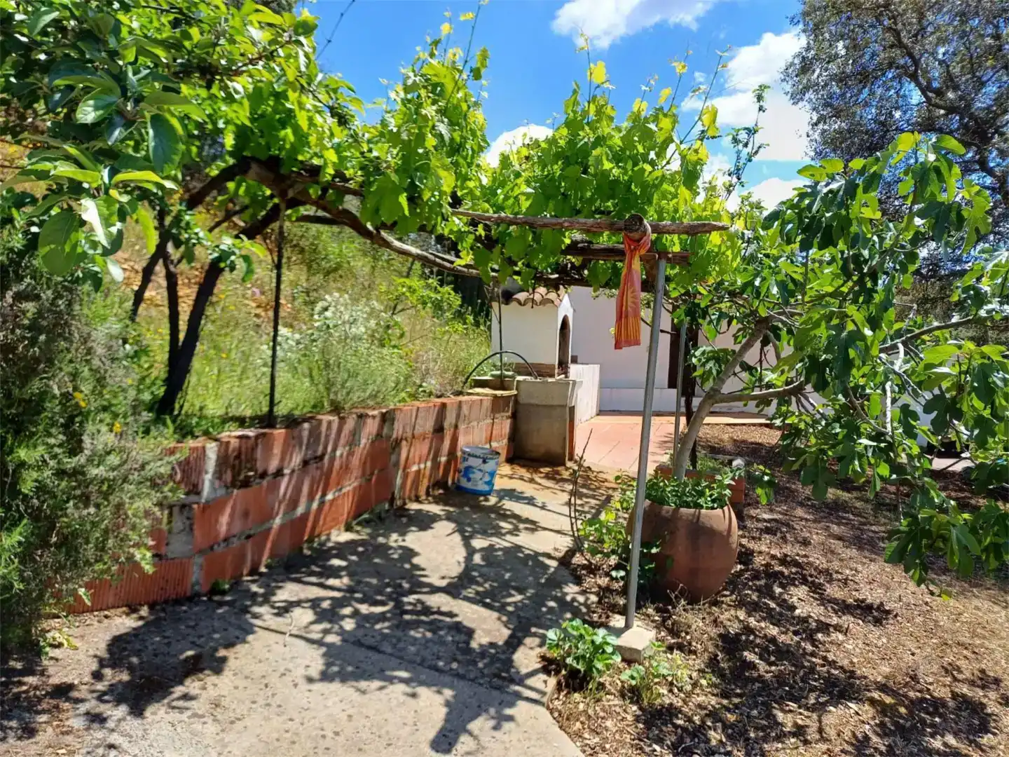 Garten von Grundstücke zum Verkauf in Castañar de Ibor