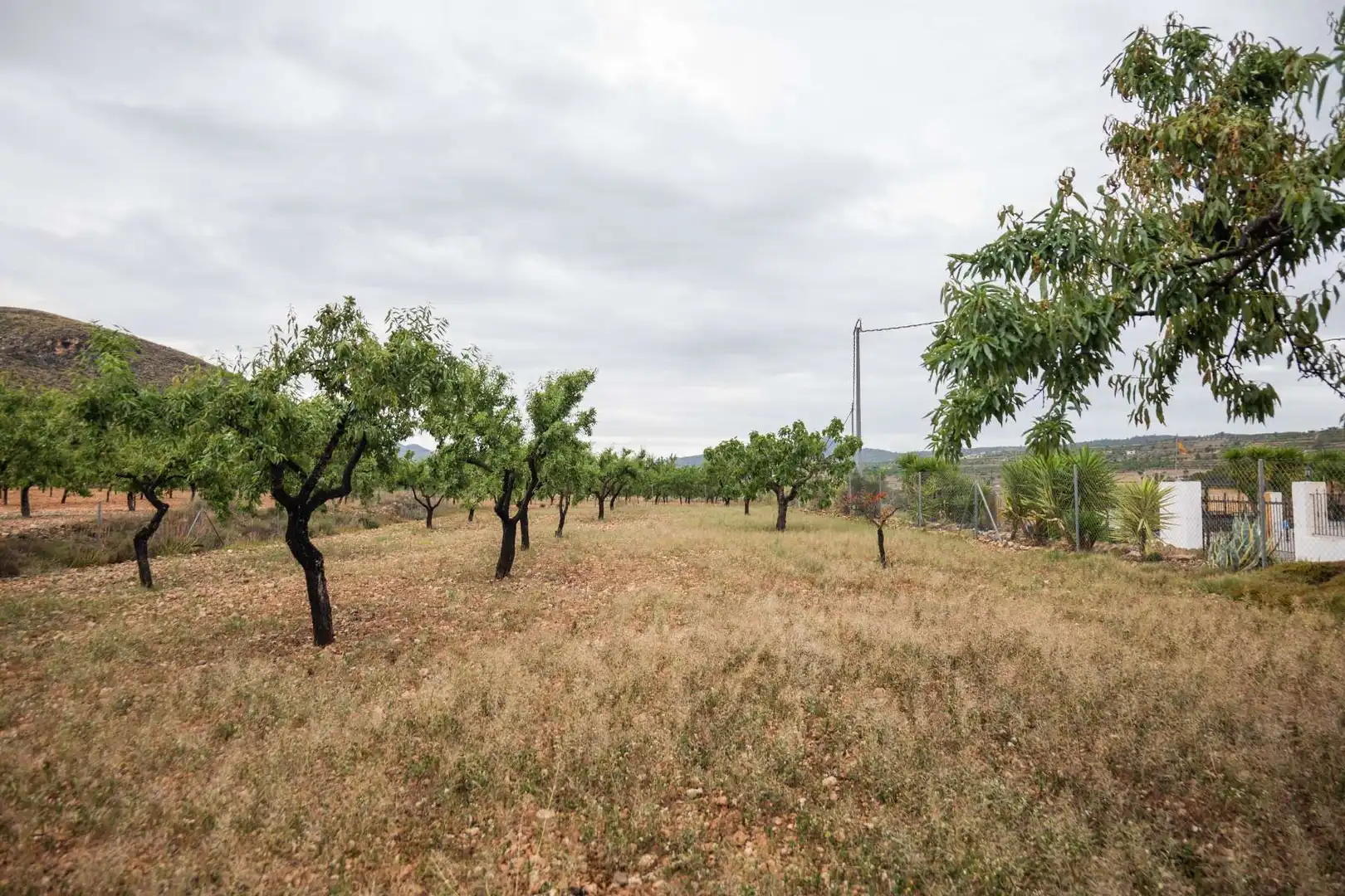 Casa o chalet en venta en Orihuela con Jardín privado, Terraza y Trastero