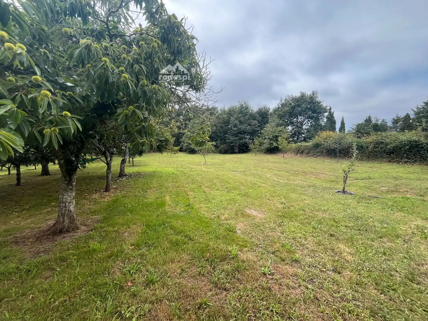 Rural land for sale in Covelo, imagen 23