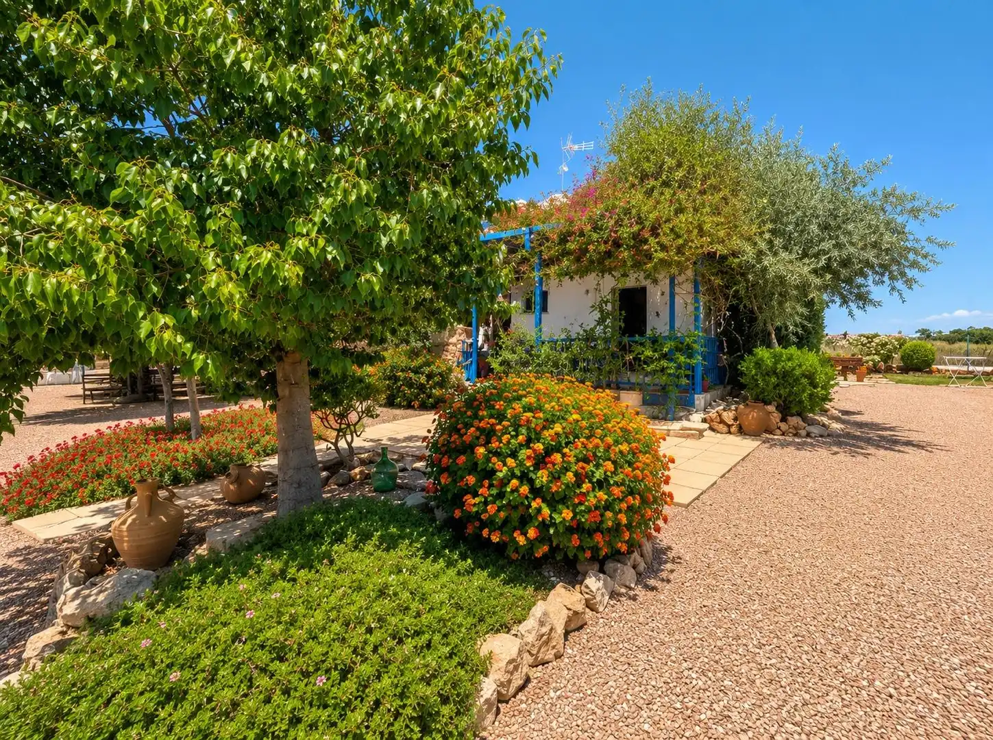 Garden of Houses for sale in Elche / Elx  with Private garden, Terrace and Swimming Pool