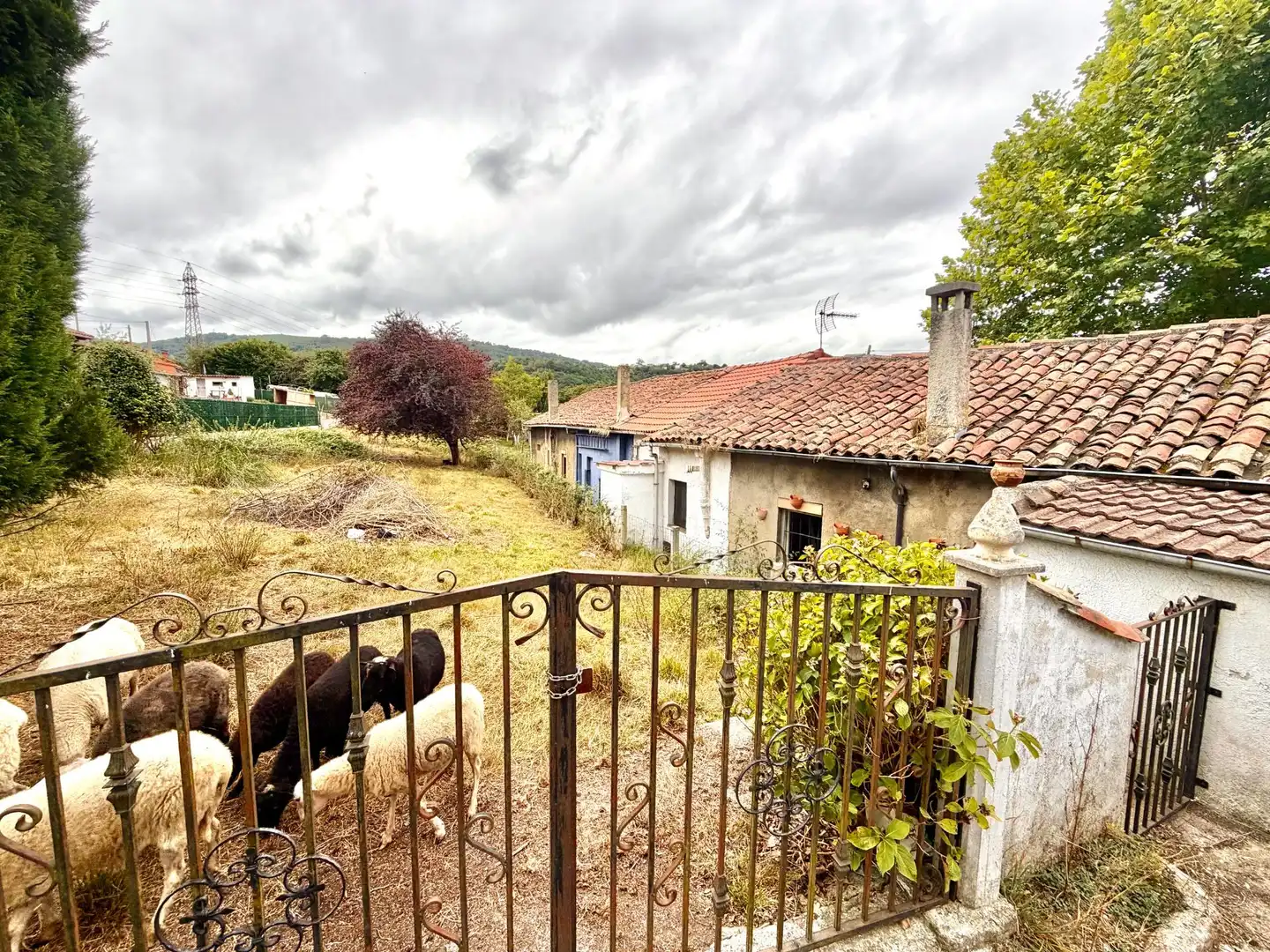 Haus zum Verkauf in PANDO 32, imagen 2