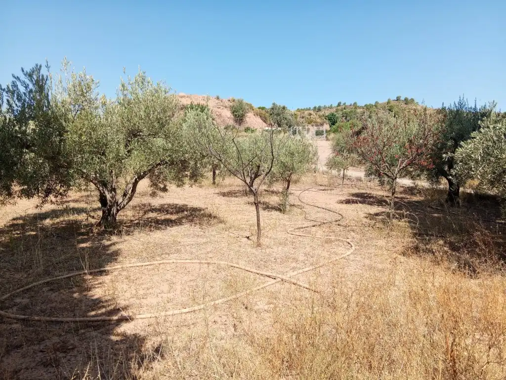 Country house zum Verkauf in Calles mit Privatgarten, Terrasse und Abstellraum