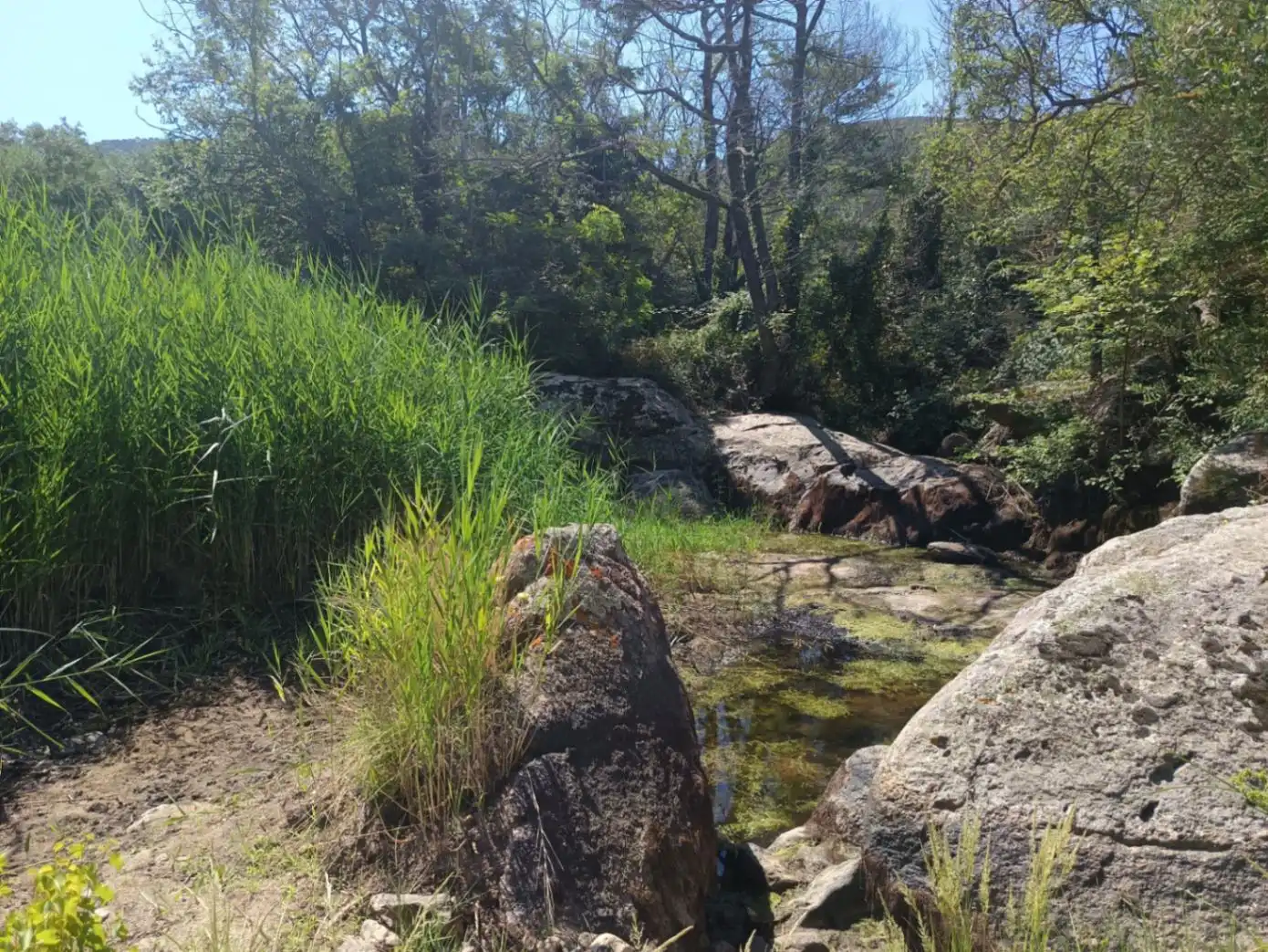Vista exterior de Finca rústica en venta en Vilajuïga con Terraza, Trastero y Balcón