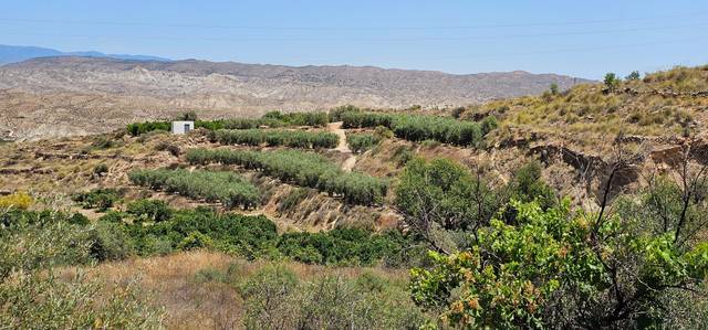 Terreno en Venta en CARRETERA A-348 en Bentarique